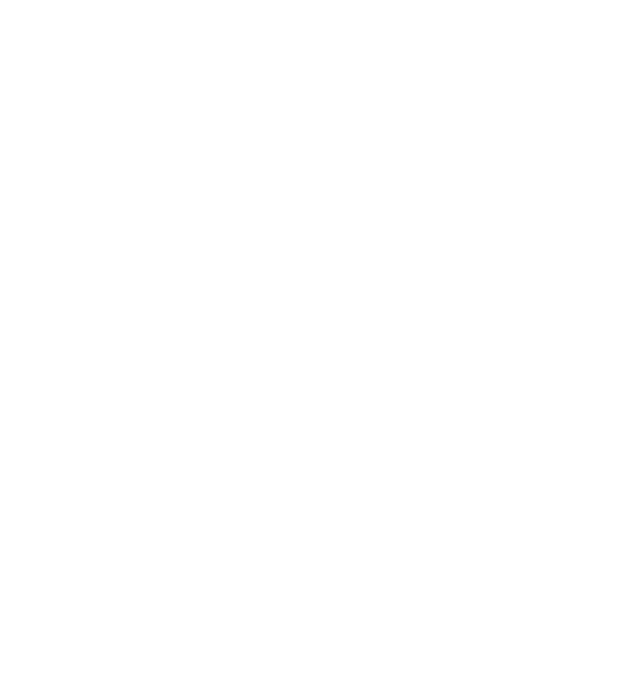 bendigo-strikers