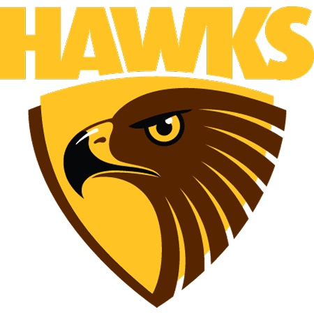Hawks Netball