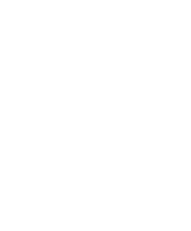 city-west-falcons